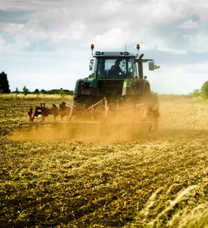 Ethiopian Agricultural Export Company