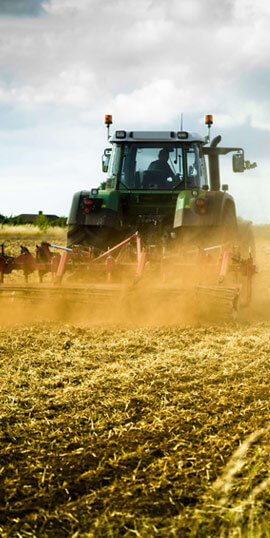 Ethiopian Agricultural Export Company