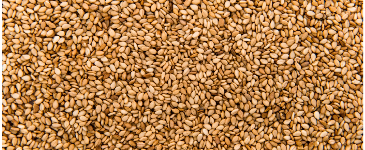 Oilseeds